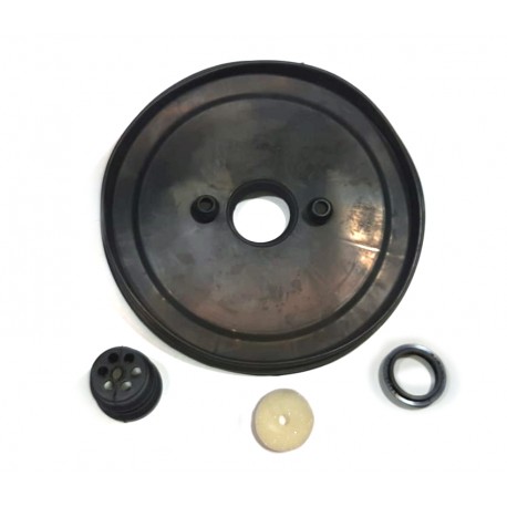 KIT DE REPARACION SERVOFRENO RENAULT OROCH DUSTER VW PASSAT TRW